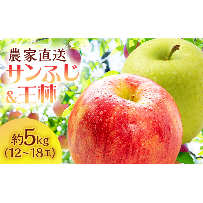  X Tӂ   5kg (12`18) S lߍ킹 Zbg TCL`_ Hה X ˃򒬎Y t[c ʕ p  Mtg TtW ӂX˃18000ʕE