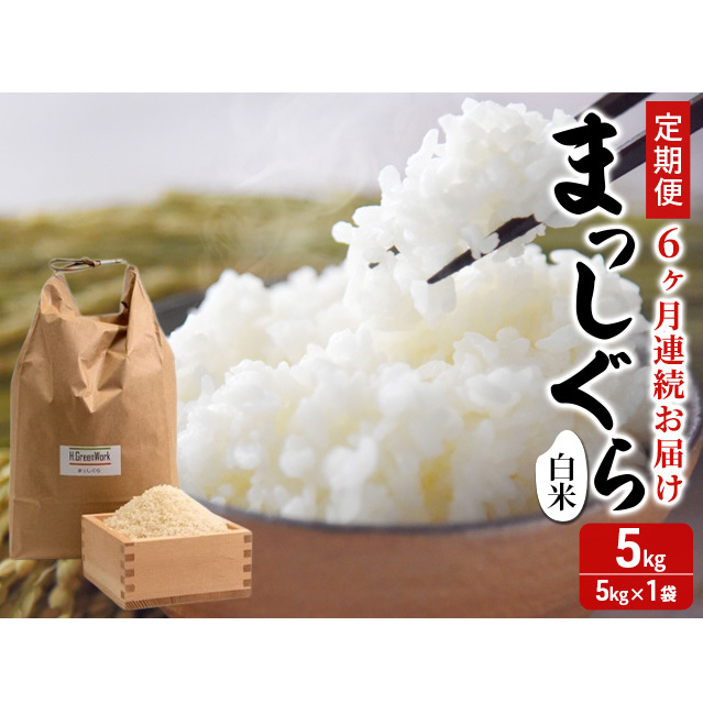 新米 定期便 6ヶ月 令和7年産 まっしぐら 白米 5kg 1袋 精米 こめ お米 おこめ コメ ご飯 ごはん 令和7年 H.GREENWORK 6回 半年 お楽しみ 青森 青森県 鯵ヶ沢町 青森県鰺ヶ沢町95000米・パン白米