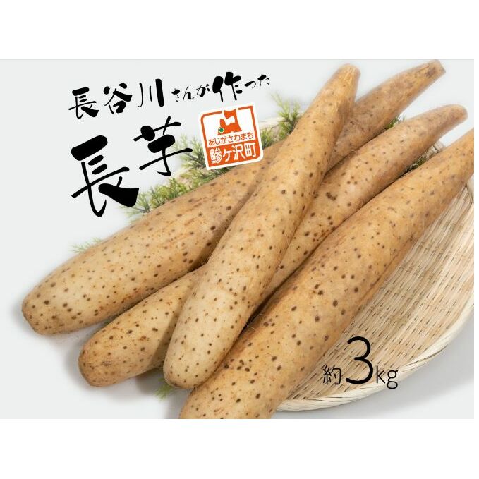長谷川さんが作った長芋(約3kg) 野菜 根菜 青森県鰺ヶ沢町10000野菜・きのこ大根・ニンジン・根菜類