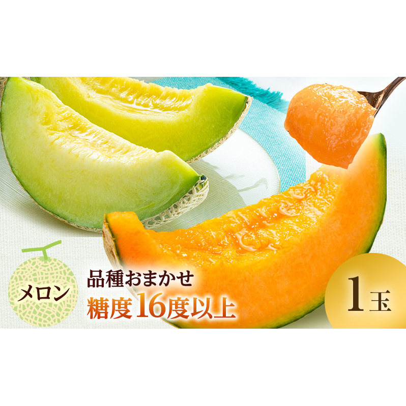 メロン 先行 予約 青森 減農薬栽培メロン 1玉 糖度16度以上保証 減農薬 青肉 赤肉 青肉メロン 赤肉メロン フルーツ 果物 旬のフルーツ 旬の果物 旬 夏 レビュー 高評価 先行予約 2025 2025年 青