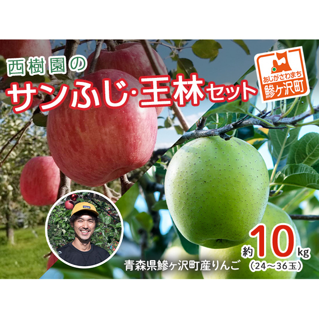 りんご 青森 サンふじ 王林 約 10kg (24〜36玉) リンゴ 詰め合わせ セット 青森県 鰺ヶ沢町産 西樹園 フルーツ 果物 果物類 白神山地 林檎 サンフジ ふじ青森県鰺ヶ沢町30000果物・フルーツりん