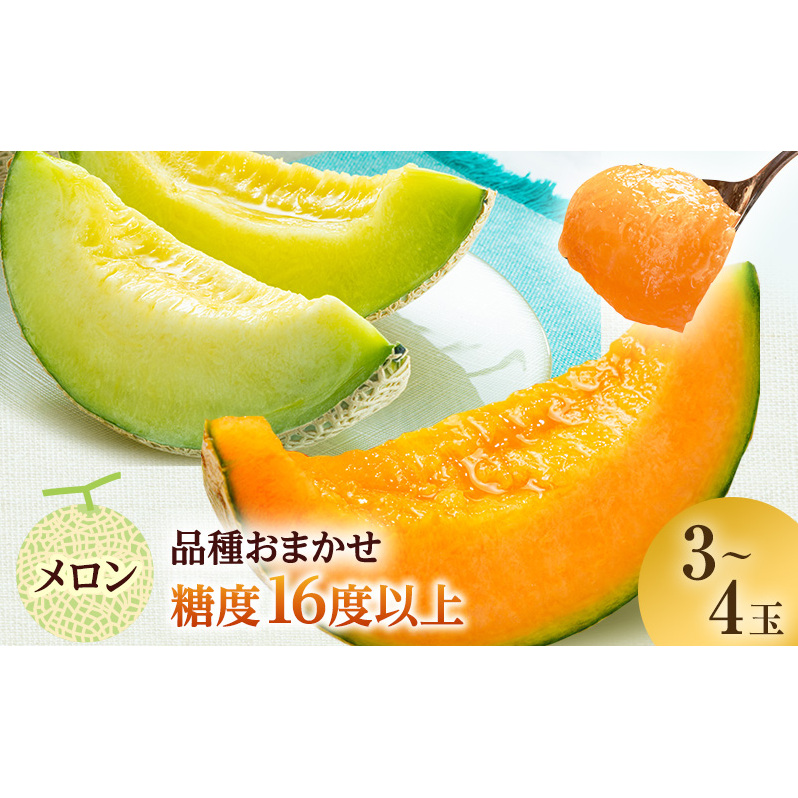 【先行予約2025年産】津軽産 減農薬栽培メロン 3〜4玉 糖度16度以上保証! 果物類 メロン青肉 フルーツ メロン赤肉 青森県鰺ヶ沢町22000果物・フルーツメロン・スイカ