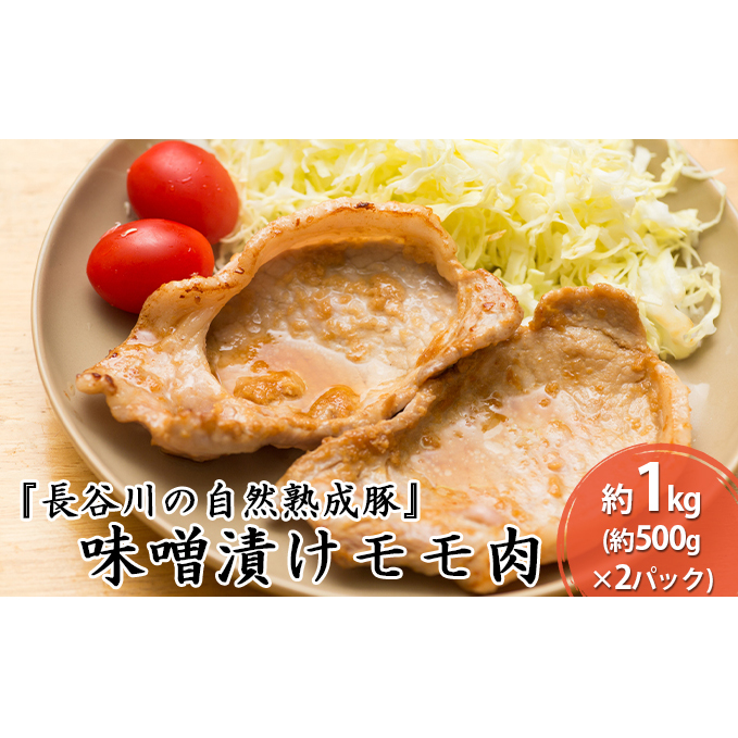 XЂ  1kg (500g×2) RN̂|ƃW[V[ J̎Rn ȒP  Ԃ u^ ؓ   Ԃ Ԃԗp Ԃԗp  t