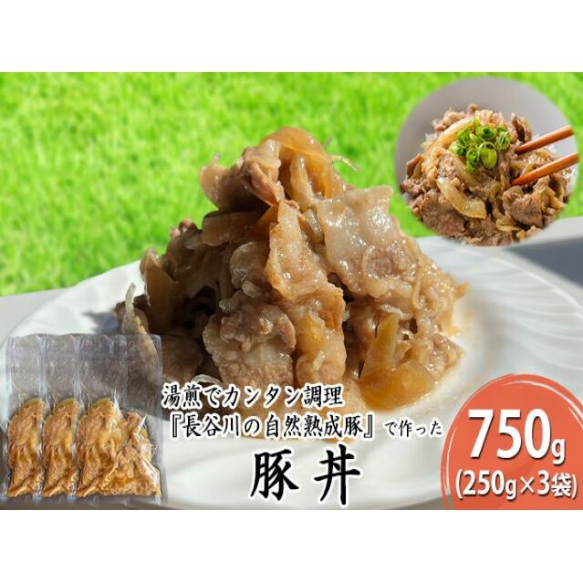 ؘ 750g (250g×3) J̎Rn    y gg ggHi ȒP  Ԃ u^ ؓ   Lv AEghA Lv X X  X