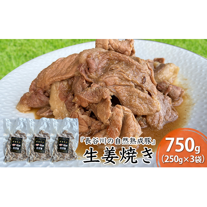生姜焼き 750g (250g×3袋) 長谷川の自然熟成豚 湯煎 湯せん おかず 惣菜 レトルト レトルト食品 簡単調理 豚 ぶた ブタ 豚肉 肉 お肉 キャンプ アウトドア キャンプ飯 青森 青森県 鯵ヶ沢町 青森