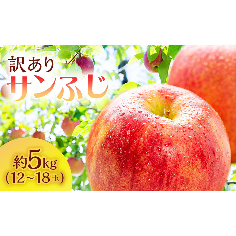 りんご 訳あり 青森 サンふじ 約 5kg (12〜18玉) リンゴ サイキチ農園 青森県 鰺ヶ沢町産 フルーツ 果物 不揃い 傷 林檎 サンフジ ふじ 12月〜1月発送 青森県鰺ヶ沢町13000果物・フルーツりんご