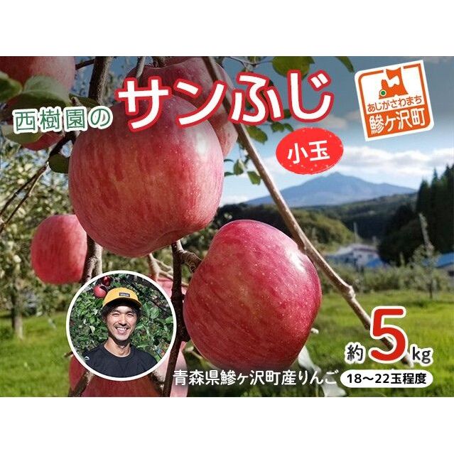 りんご 訳あり 青森 サンふじ リンゴ 小玉 約 5kg (18〜22玉) 青森県 鰺ヶ沢町産 西樹園 フルーツ 果物 果物類 白神山地 林檎 サンフジ ふじ青森県鰺ヶ沢町16000果物・フルーツりんご・梨