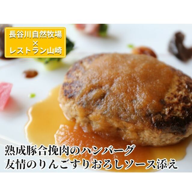 ハンバーグ 熟成豚合挽肉のハンバーグ 3個 友情のりんごすりおろしソース添え セット 湯煎 温めるだけ レトルト 小分け 個包装 お試し 簡単 簡単調理 惣菜 おかず お弁当 弁当 時短 肉 お肉
