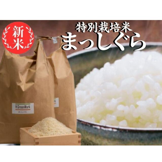 新米 令和6年産 まっしぐら 白米 10kg (5kg×2袋) 米 精米 こめ お米 おこめ コメ ご飯 ごはん 令和6年 特別栽培米 H.GREENWORK 青森 青森県 鯵ヶ沢町 青森県鰺ヶ沢町15500米・パン白米