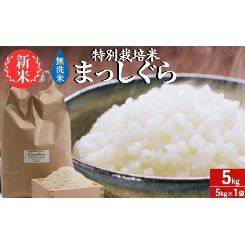 新米 令和6年産 まっしぐら 無洗米 5kg 1袋 米 白米 こめ お米 おこめ コメ ご飯 ごはん 令和6年 特別栽培米 H.GREENWORK 青森 青森県 鯵ヶ沢町 青森県鰺ヶ沢町9500米・パン無洗米