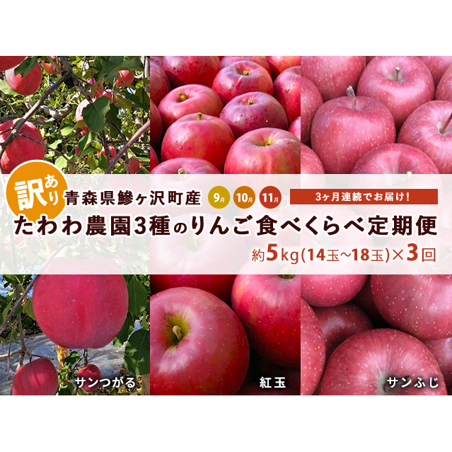 りんご 定期便 3ヶ月 青森 訳あり リンゴ 3種 サンつがる 紅玉 サンふじ 約5kg (14〜18玉) 3回 たわわ農園 フルーツ 果物 定期 9月・10月・11月発送予定 ※オンライン決済限定青森県鰺ヶ沢町49000