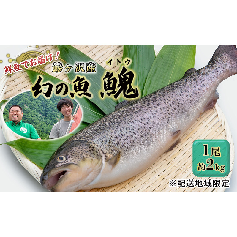 鮮魚 幻の魚 イトウ 1尾 約2kg 魚 川魚 魚介 魚介類 海鮮 お刺身 刺し身 おかず おつまみ つまみ お酒のつまみ 酒のつまみ 幻 魚 青森 青森県 鰺ヶ沢町 ※配送地域限定青森県鰺ヶ沢町33000魚介