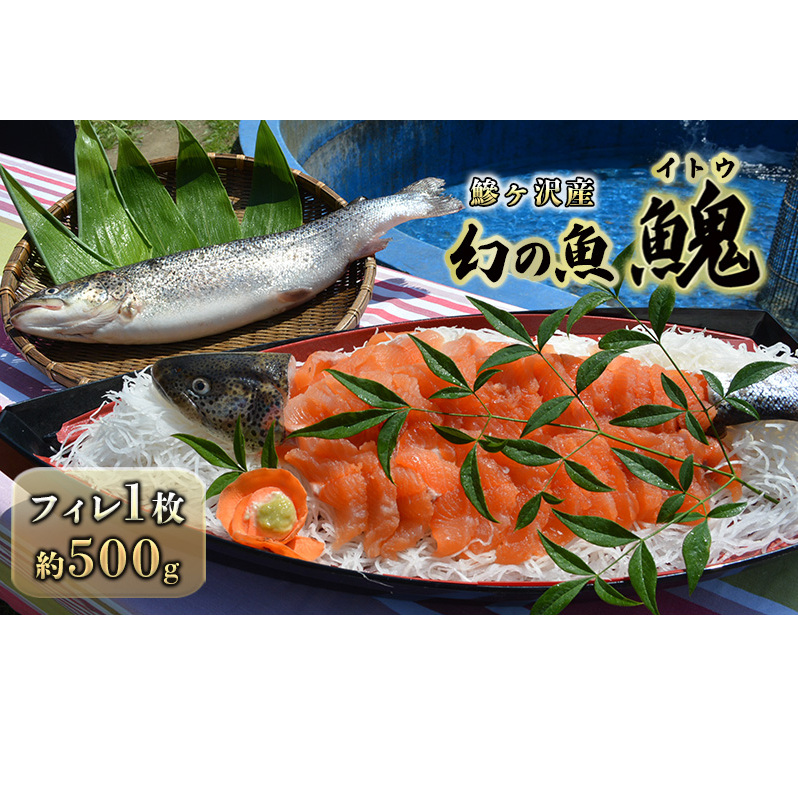 ˃YűCgEvtB1 500g L 싛 X˃16500ECY̑ ECY