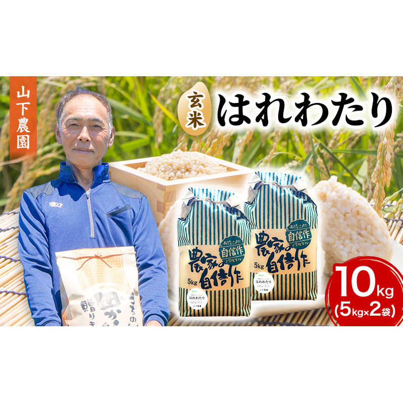 米 令和7年産 はれわたり 玄米 10kg (5kg×2袋) こめ お米 おこめ コメ ご飯 ごはん 令和7年 山下農園 青森 青森県 青森県鰺ヶ沢町22500米・パン玄米・雑穀米・もち米・餅