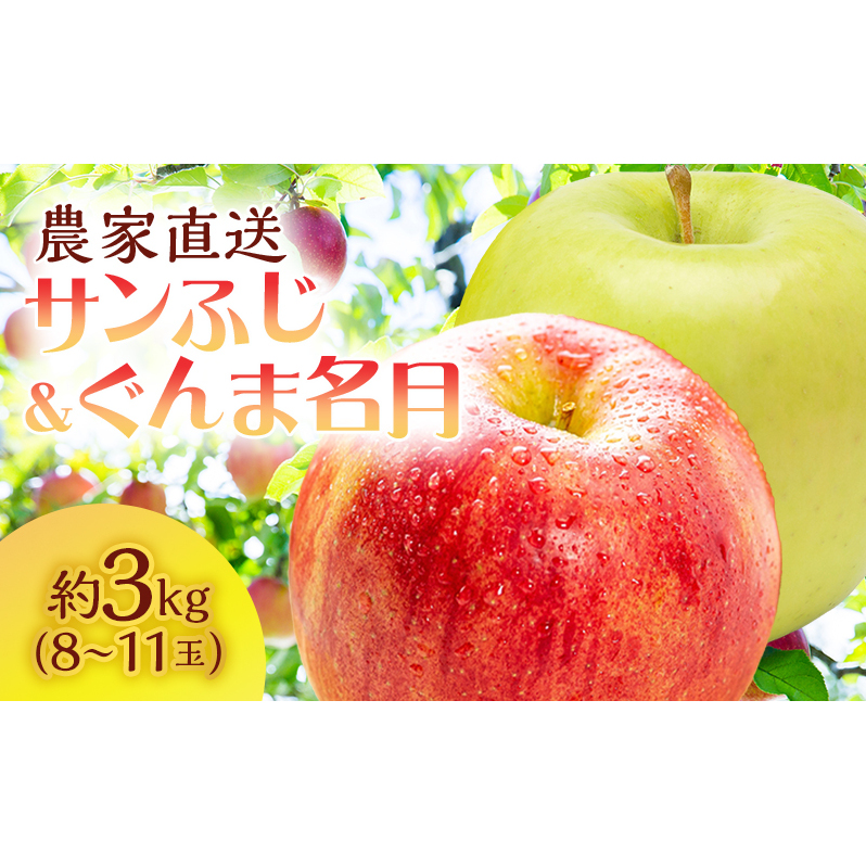 サイキチ農園 サンふじ ぐんま名月 約 3kg (8〜11玉)  青森県鰺ヶ沢町産 りんご リンゴ  フルーツ 果物 果物類 林檎 青森県鰺ヶ沢町14000果物・フルーツ