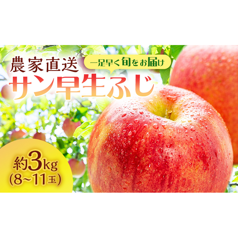 サイキチ農園 サン早生ふじ  ( 弘前ふじ ) 約 3kg (8〜11玉) 青森県鰺ヶ沢町産 りんご リンゴ  フルーツ 果物 果物類 林檎 青森県鰺ヶ沢町15000果物・フルーツ