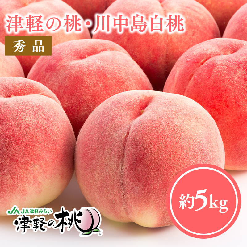 【8月下旬〜9月中旬発送予定】津軽の桃 川中島白桃約5kg青森県平川市23000果物・フルーツ