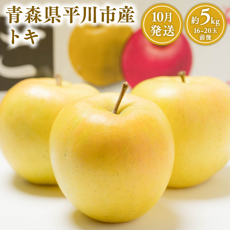 10月 トキ約5kg 【JA津軽みらい・平川市産・青森りんご】青森県平川市13000果物・フルーツりんご・梨