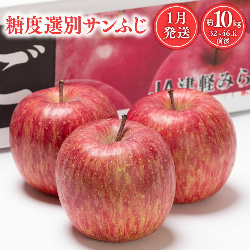年明け 糖度選別サンふじ約10kg 【JA津軽みらい・平川市産・青森りんご・1月・2月】青森県平川市25000果物・フルーツりんご・梨