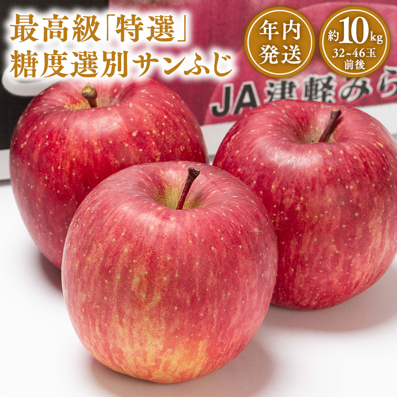 年内 最高級「特選」 糖度選別サンふじ約10kg 【JA津軽みらい・平川市産・青森りんご・12月】青森県平川市33000果物・フルーツりんご・梨