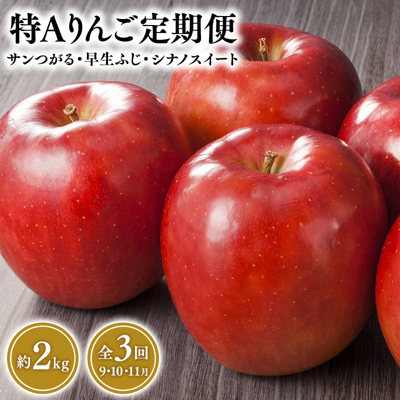 y3 XJnzA񂲒 TEӂEVimXC[gie2kgjS3yX񂲁EsYE9E10E11zXs26000ʕEt[c񂲁E