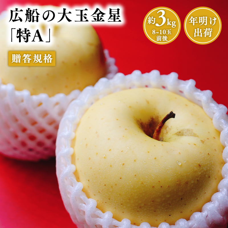 年明け 贈答規格 広船の大玉金星約3kg「特A」【広船アップルクラブ 平川市広船産 青森りんご 1月 2月】1月30日申込締め切り青森県平川市15000果物・フルーツりんご・梨
