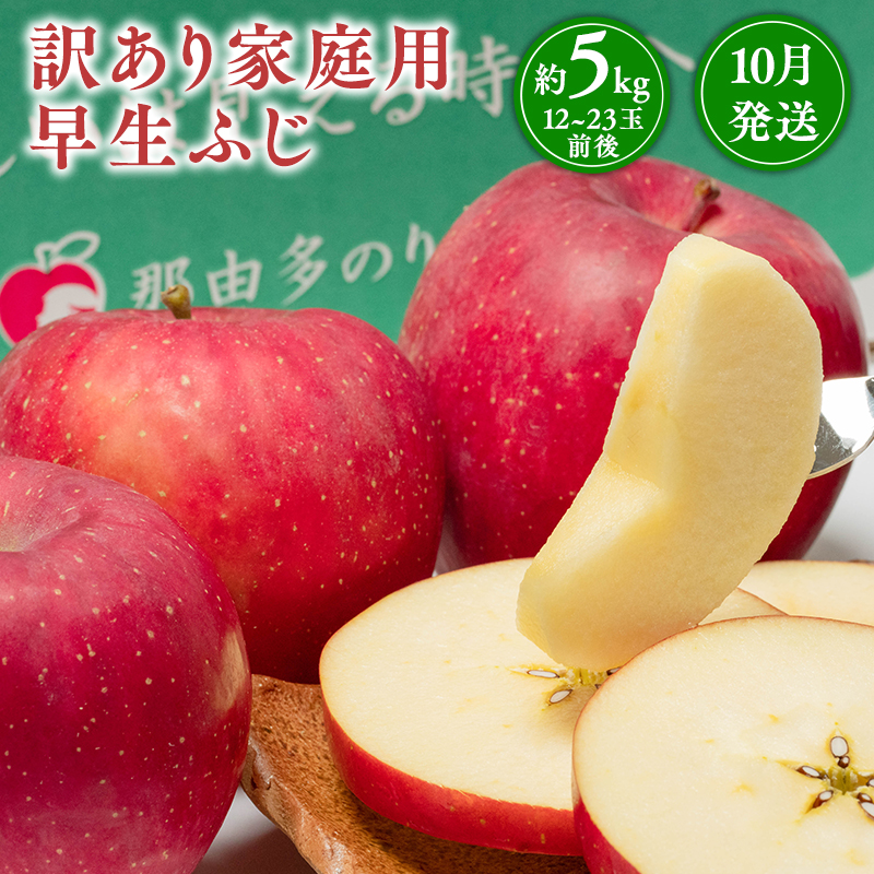 10月発送 【訳あり】家庭用早生ふじ 約5kg 【那由多のりんご園・平川市産】青森県平川市14500果物・フルーツりんご・梨