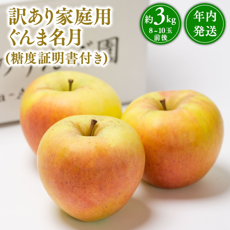 年内発送 【訳あり】家庭用ぐんま名月約3kg(糖度証明書付き) 【那由多のりんご園・平川市産】青森県平川市10500果物・フルーツりんご・梨