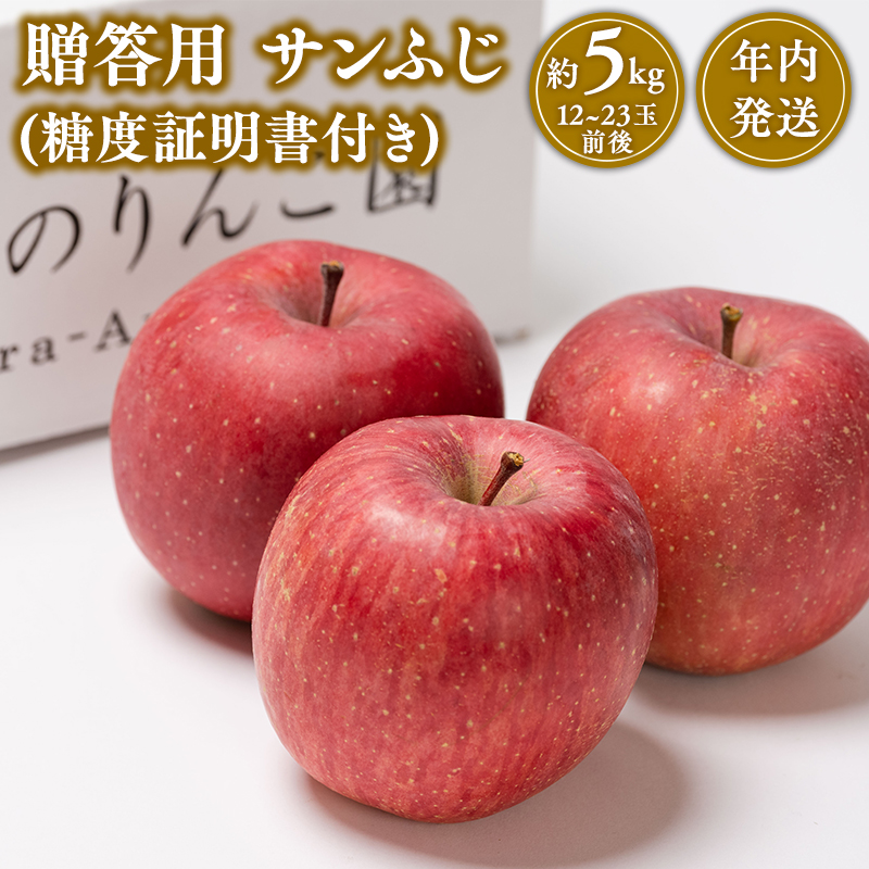 【12月発送】 贈答用サンふじ約5kg(糖度証明書付き) 【那由多のりんご園・平川市産】青森県平川市21000果物・フルーツりんご・梨