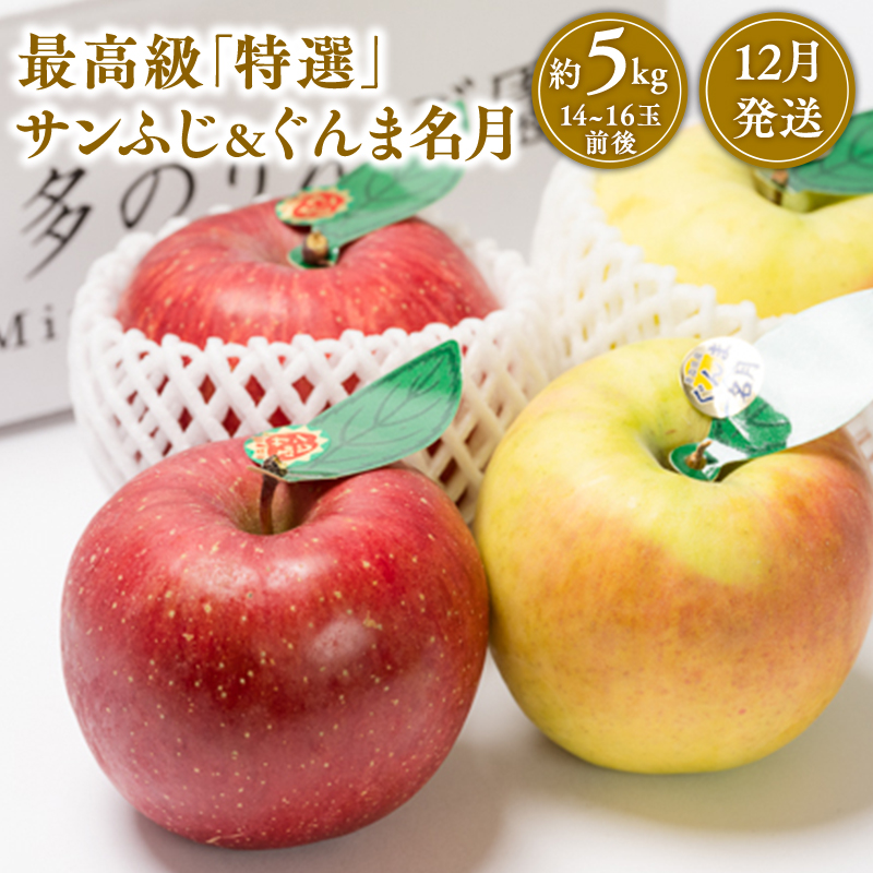 12月発送 最高級「特選」サンふじとぐんま名月詰合せ約5kg(糖度証明書付き) 【那由多のりんご園・平川市産・12月】青森県平川市28000果物・フルーツりんご・梨