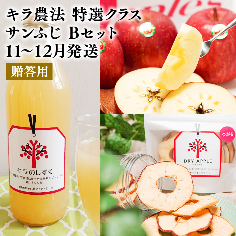 11`12 p L_@ INX n TӂBZbg yX񂲁EsLDYE11E12zXs25000ʕEt[c񂲁E