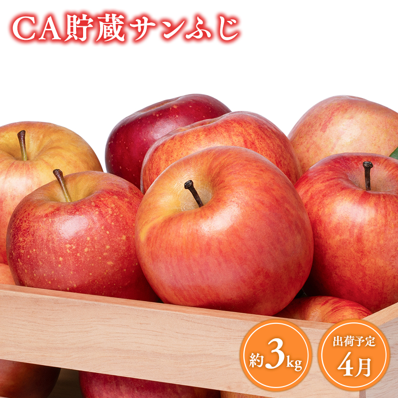 4月 CA貯蔵サンふじ 約3kg【森山商店・青森県産・青森りんご・4月】青森県平川市13000果物・フルーツりんご・梨