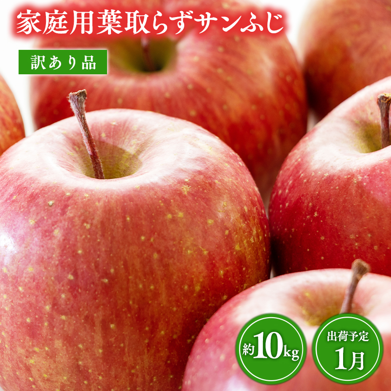 1月 訳あり 家庭用葉取らずサンふじりんご 約10kg【森山商店・青森県産・青森りんご・1月】青森県平川市20000果物・フルーツりんご・梨