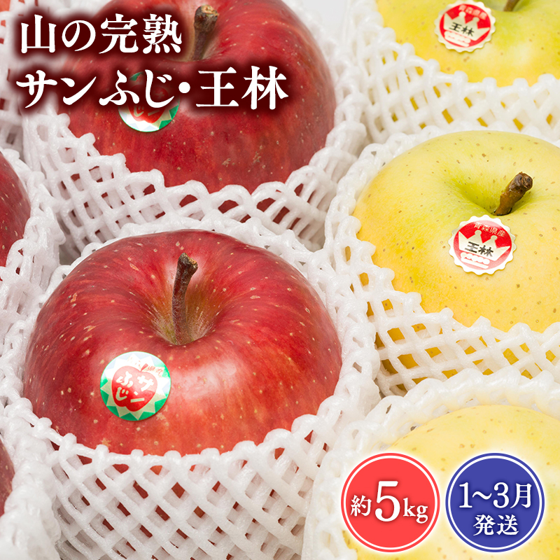 【2026年1~3月発送】 吹田りんご園 山の完熟サンふじ・王林約5kg 【吹田りんご園・青森りんご・平川市広船産・1月・2月・3月】青森県平川市13000果物・フルーツりんご・梨
