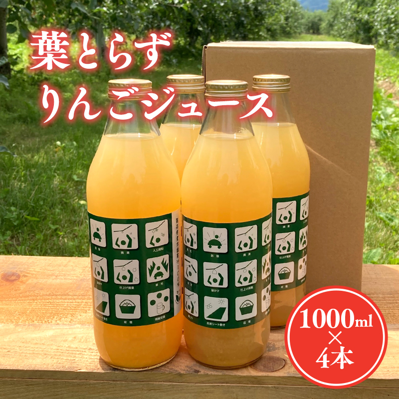 tƂ炸񂲃W[XiXg[gj1L4{Xs11000Eʏ`E؈