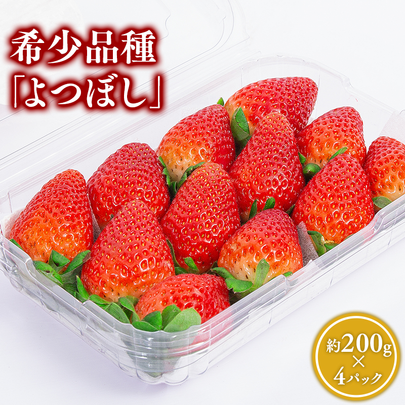 y2~4z ڂ 200×4pbNXs12000ʕEt[c
