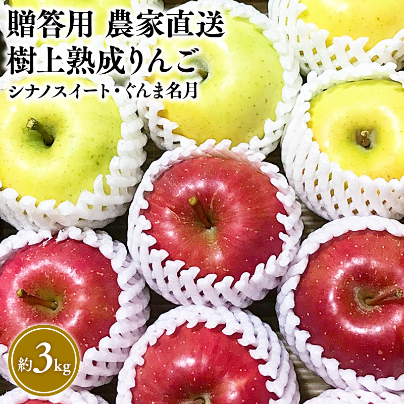 【10〜11月発送】贈答用 農家直送 樹上熟成りんご シナノスイート・ぐんま名月 約3kg【平川市産・青森りんご】青森県平川市11000果物・フルーツりんご・梨