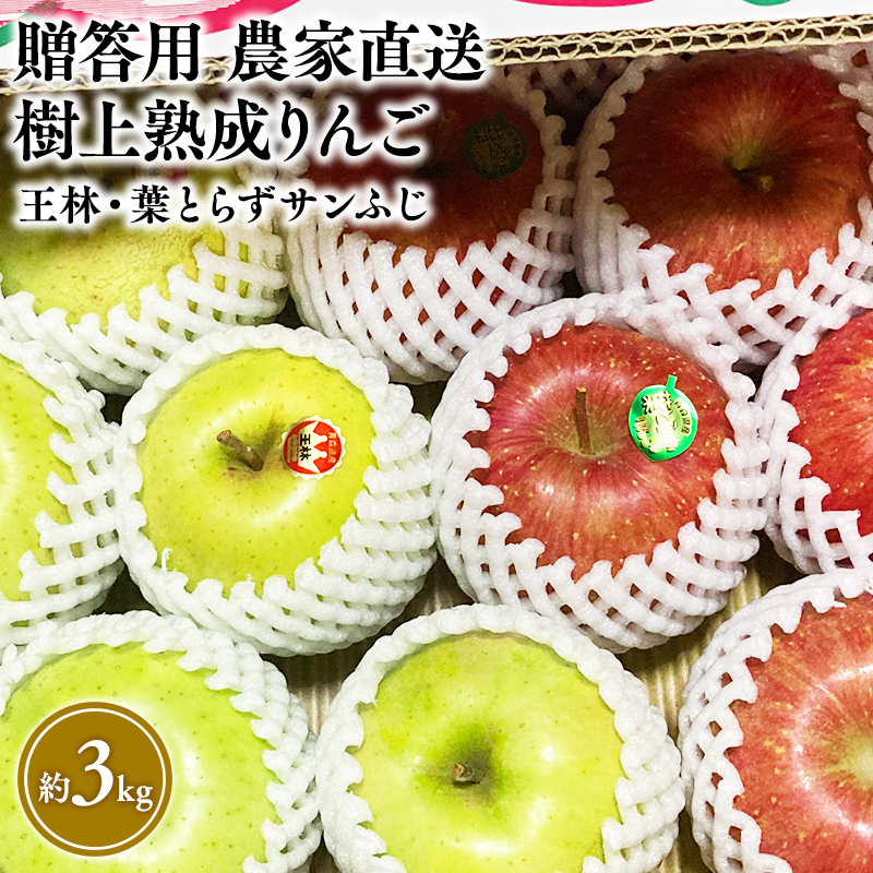 【11〜12月発送】贈答用 農家直送 樹上熟成りんご 王林・葉とらずサンふじ 約3kg【平川市産・青森りんご】青森県平川市11000果物・フルーツりんご・梨