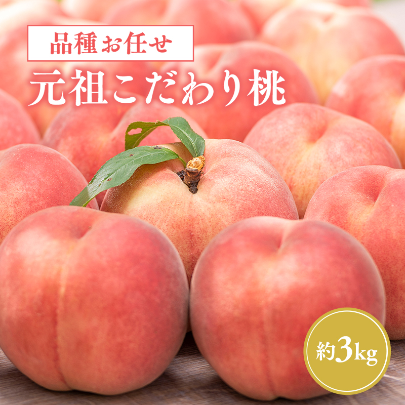 2025NY s\yi킨܂:8{`9\zĉ蓍 3kgXs19000ʕEt[cE