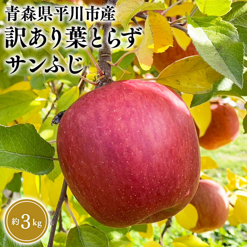12月中旬〜発送  訳あり 葉取らずサンふじ約3kg(家庭用)【なるみ農園・青森りんご・平川市産・数量限定】青森県平川市9500果物・フルーツりんご・梨