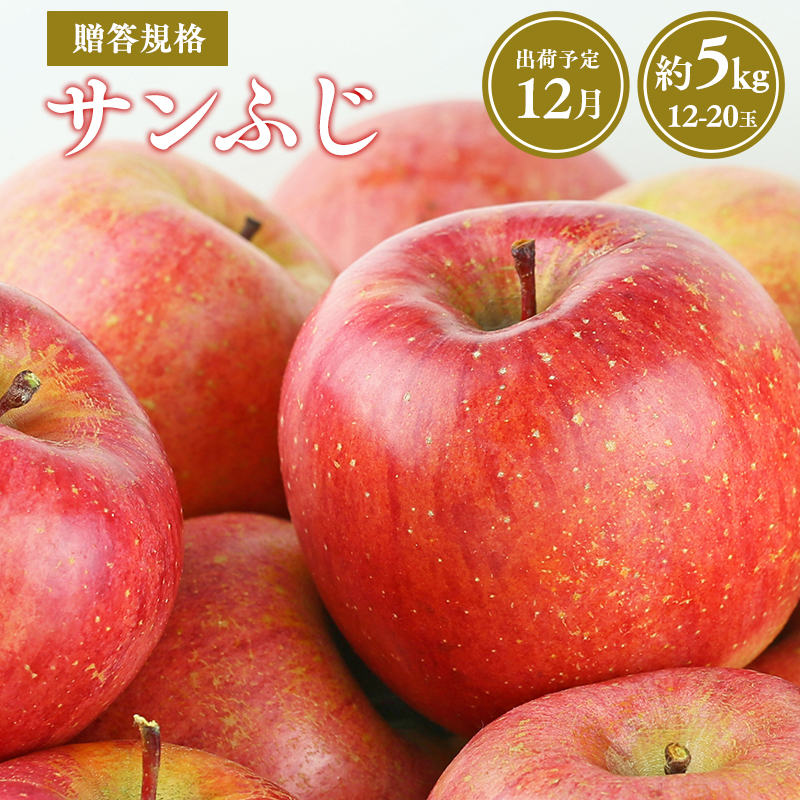 yߘa7NYstzߘa7N12 pKiTӂ5kgyXsYEX񂲁zXs25000ʕEt[c񂲁E