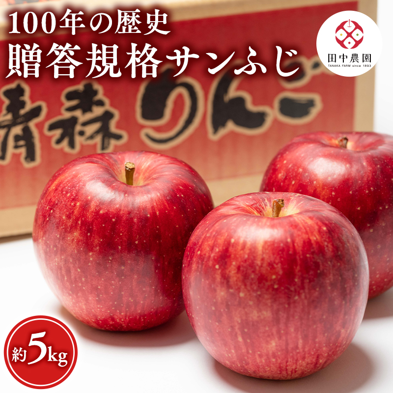 12月 100年の歴史 贈答規格サンふじ 約5kg【田中農園・青森県平川市産・青森りんご】青森県平川市18000果物・フルーツりんご・梨