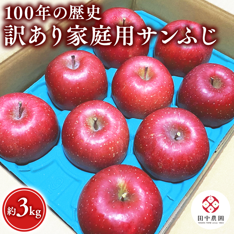 12月 100年の歴史 訳あり 家庭用サンふじ 約3kg【田中農園・青森県平川市産・青森りんご】青森県平川市13000果物・フルーツりんご・梨