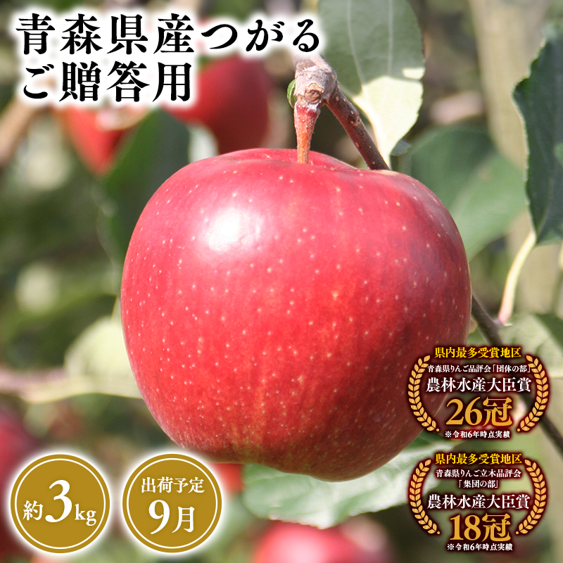 2025年産9月発送 贈答用つがる3kg 【そと川りんご園・9月・青森県産・平川市・りんご・つがる・3kg・贈答用】青森県平川市14000果物・フルーツりんご・梨