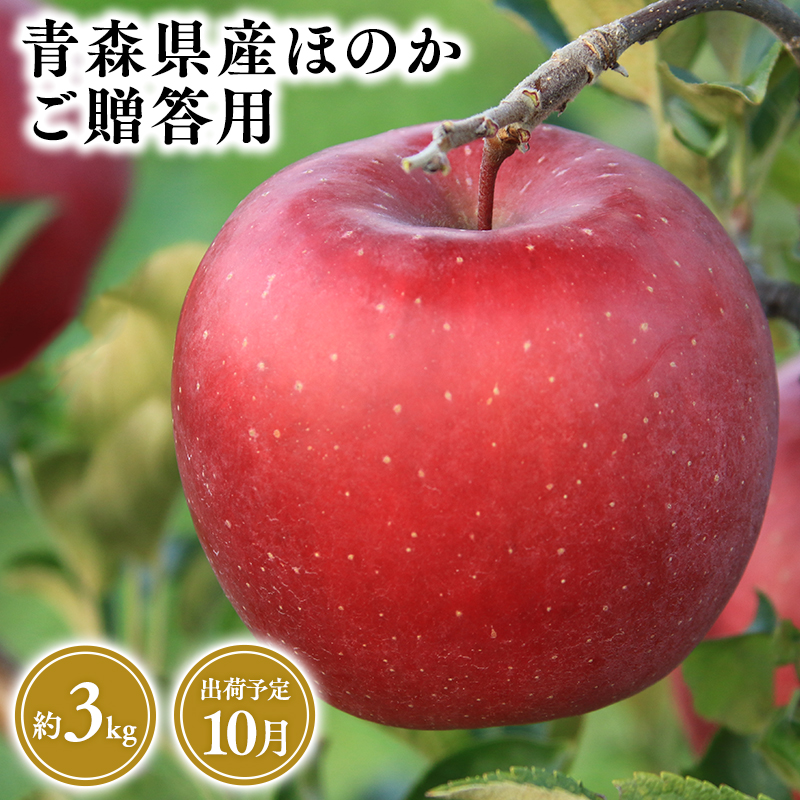 2025年産9月発送 贈答用ほのか3kg 【そと川りんご園・9月・青森県産・平川市・りんご・ほのか・3kg・贈答用】青森県平川市14000果物・フルーツりんご・梨