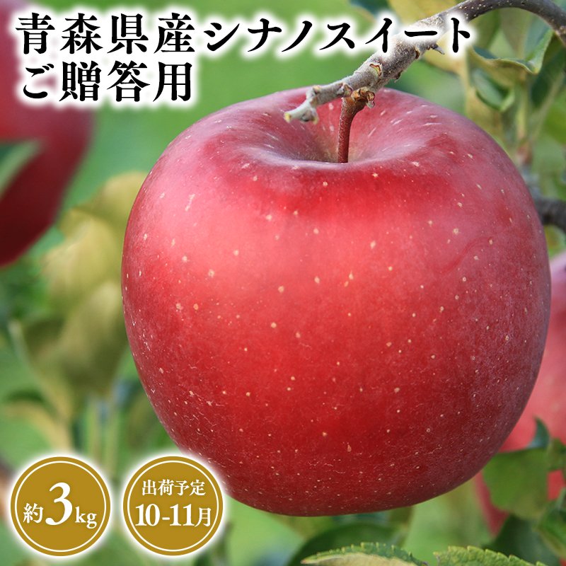 2025年産10月・11月発送 贈答用シナノスイート3kg 【そと川りんご園・10月・11月・青森県産・平川市・りんご・シナノスイート・3kg・贈答用】青森県平川市14000果物・フル