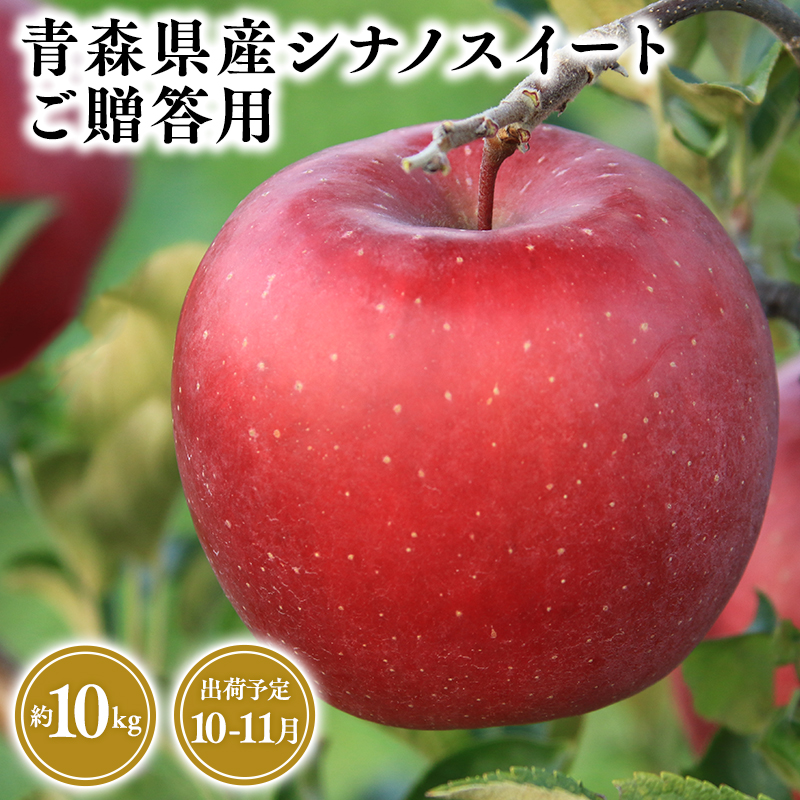 2025年産10月・11月発送 贈答用シナノスイート10kg 【そと川りんご園・10月・11月・青森県産・平川市・りんご・シナノスイート・10kg・贈答用】青森県平川市37500果物・フ