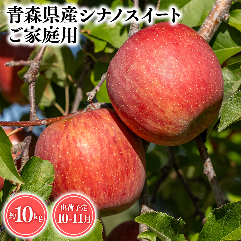2025年産10月・11月発送 【訳あり】家庭用シナノスイート10kg 【そと川りんご園・10月・11月・青森県産・平川市・りんご・シナノスイート・10kg・訳あり・家庭用】青森県