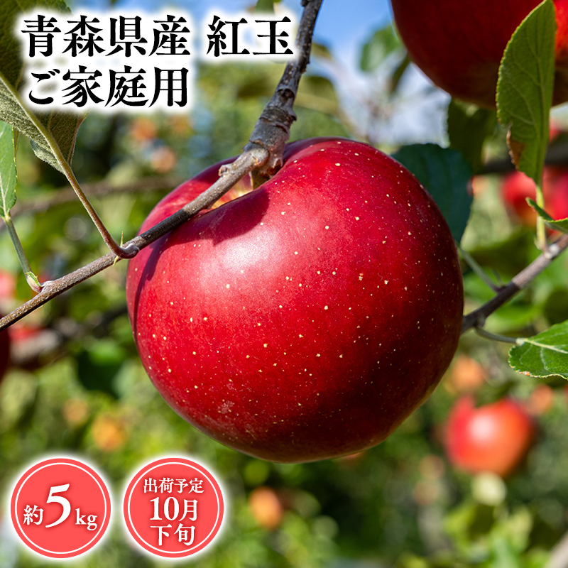 2025年産10月発送 【訳あり】家庭用紅玉5kg 【そと川りんご園・10月・青森県産・平川市・りんご・紅玉・5kg・訳あり・家庭用】青森県平川市15000果物・フルーツりんご・梨