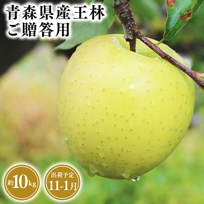 2025年産 11月〜1月発送 贈答用王林10kg 【そと川りんご園・11月・12月・1月・青森県産・平川市・りんご・王林・10kg・贈答用】青森県平川市37500果物・フルーツりんご・梨